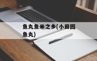 鱼丸鱼米之乡(小田园鱼丸)