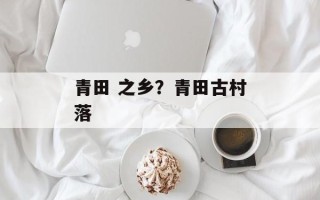 青田 之乡？青田古村落