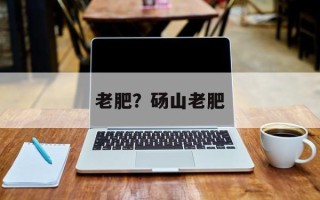 老肥？砀山老肥
