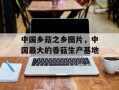 中国乡菇之乡图片，中国最大的香菇生产基地