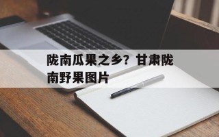 陇南瓜果之乡？甘肃陇南野果图片