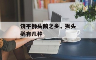 饶平狮头鹅之乡，狮头鹅有几种
