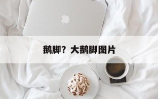 鹅脚？大鹅脚图片