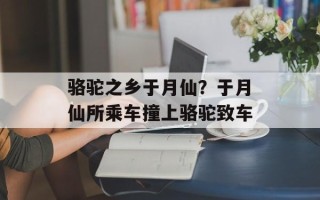 骆驼之乡于月仙？于月仙所乘车撞上骆驼致车