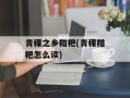 青稞之乡糌粑(青稞糌粑怎么读)