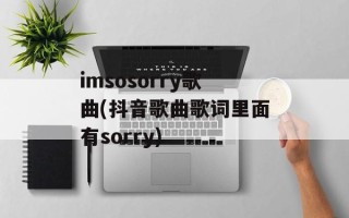 imsosorry歌曲(抖音歌曲歌词里面有sorry)