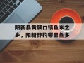 阳新县黄颡口镇鱼米之乡，阳新野钓哪里鱼多
