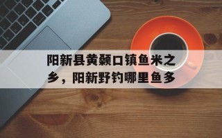 阳新县黄颡口镇鱼米之乡，阳新野钓哪里鱼多