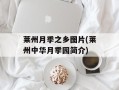 莱州月季之乡图片(莱州中华月季园简介)
