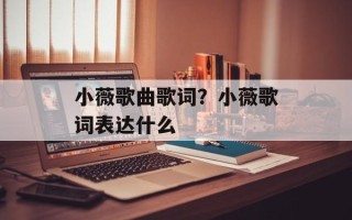小薇歌曲歌词？小薇歌词表达什么