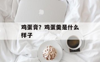 鸡蛋膏？鸡蛋羹是什么样子
