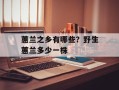 蕙兰之乡有哪些？野生蕙兰多少一株