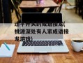 违字开头的成语接龙(桃源深处有人家成语接龙游戏)