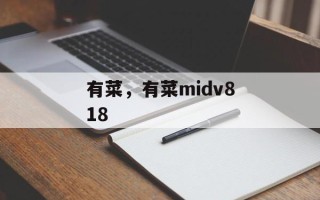 有菜，有菜midv818