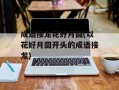 成语接龙花好月圆(以花好月圆开头的成语接龙)
