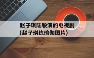 赵子琪陆毅演的电视剧(赵子琪练瑜伽图片)