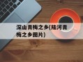 深山青梅之乡(陆河青梅之乡图片)