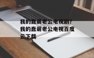 我的蠢萌老公电视剧？我的蠢萌老公电视百度云下载