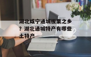 湖北咸宁通城板栗之乡？湖北通城特产有哪些土特产