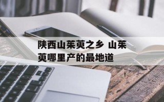 陕西山茱萸之乡 山茱萸哪里产的最地道
