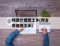 阿图什猎鹰之乡(阿合奇猎鹰之乡)