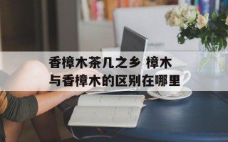 香樟木茶几之乡 樟木与香樟木的区别在哪里