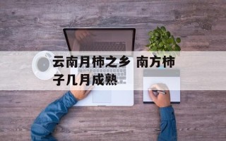 云南月柿之乡 南方柿子几月成熟