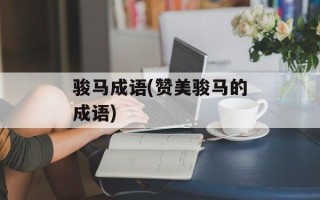 骏马成语(赞美骏马的成语)