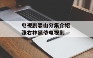 电视剧靠山分集介绍 张右林额爷电视剧