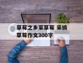 草莓之乡采草莓 采摘草莓作文300字