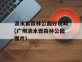 滴水岩森林公园好玩吗(广州滴水岩森林公园图片)
