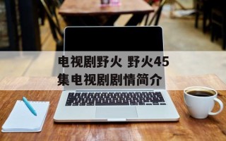 电视剧野火 野火45集电视剧剧情简介