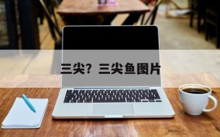三尖？三尖鱼图片