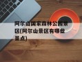 阿尔山国家森林公园景区(阿尔山景区有哪些景点)