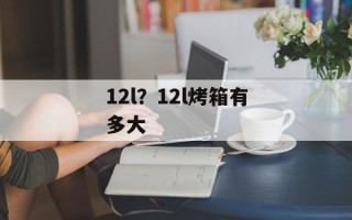 12l？12l烤箱有多大
