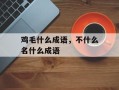 鸡毛什么成语，不什么名什么成语