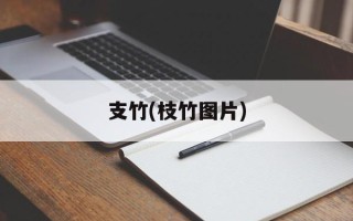 支竹(枝竹图片)