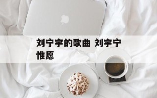 刘宁宇的歌曲 刘宇宁惟愿