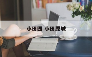 小田园 小田原城