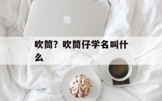吹筒？吹筒仔学名叫什么