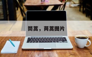 筒蒿，茼蒿图片
