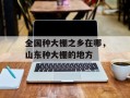 全国种大棚之乡在哪，山东种大棚的地方