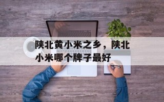 陕北黄小米之乡，陕北小米哪个牌子最好