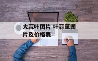 大蒜叶图片 叶蒜草图片及价格表