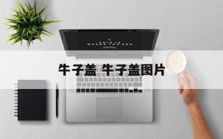 牛子盖 牛子盖图片