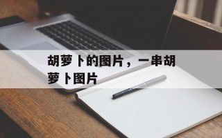 胡萝卜的图片，一串胡萝卜图片