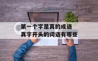 第一个字是真的成语 真字开头的词语有哪些
