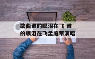 歌曲谁的眼泪在飞 谁的眼泪在飞孟庭苇演唱
