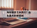 海阳银杏之乡简介？山东最大的银杏树