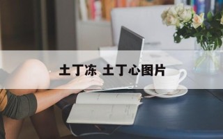 土丁冻 土丁心图片